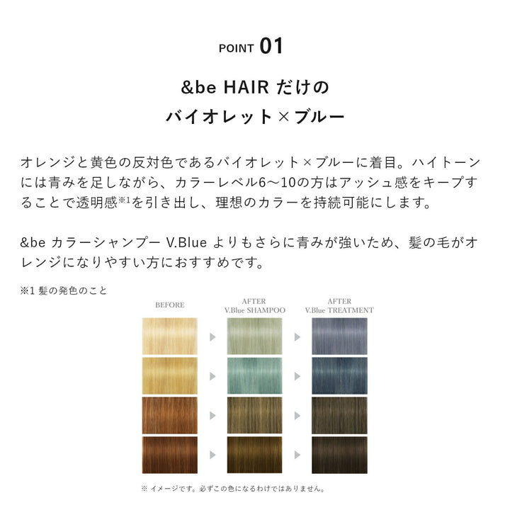 &be Color Treatment V.Blue 180g