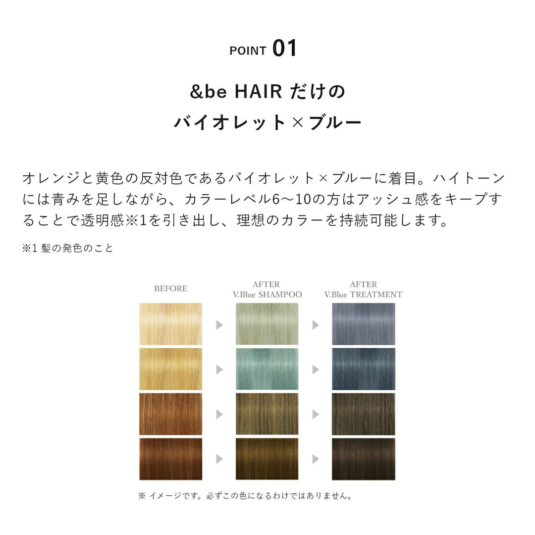 &be Color Shampoo V.Blue 280mL