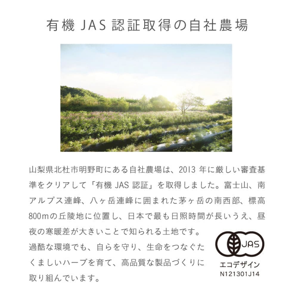 chant a charm Carbonated Mousse Serum 70g