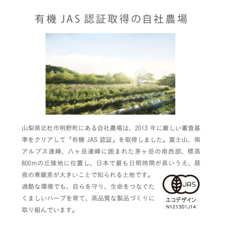 chant a charm Carbonated Mousse Serum 70g