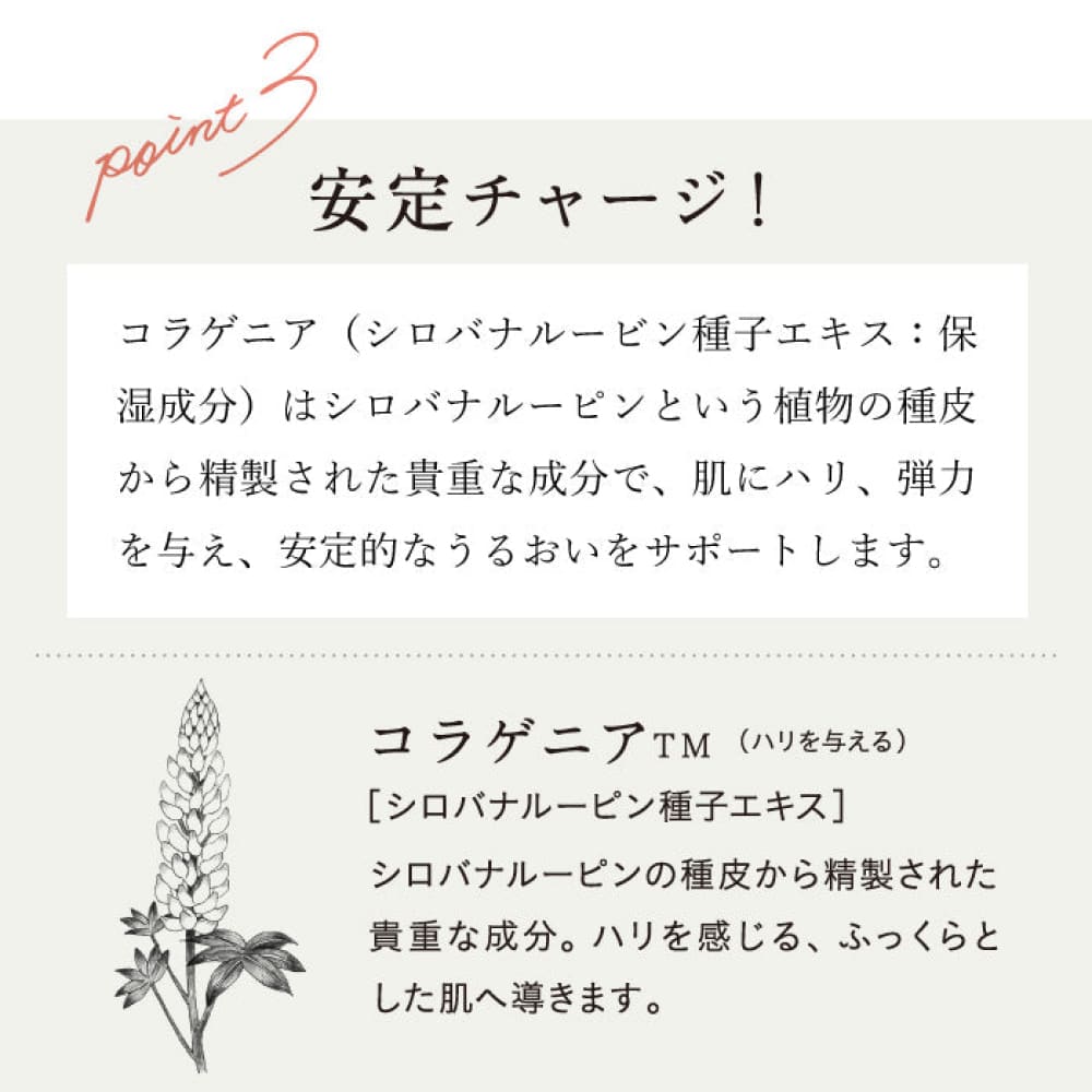 chant a charm Moist Charge Essence 30mL