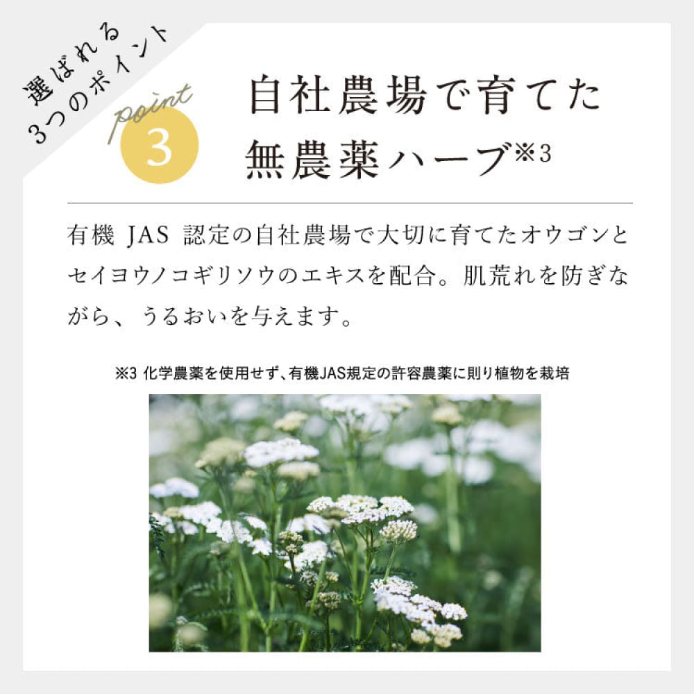 chant a charm Powder Wash 34 Packs