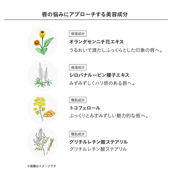 ETVOS Mineral Sheer Matte Rouge