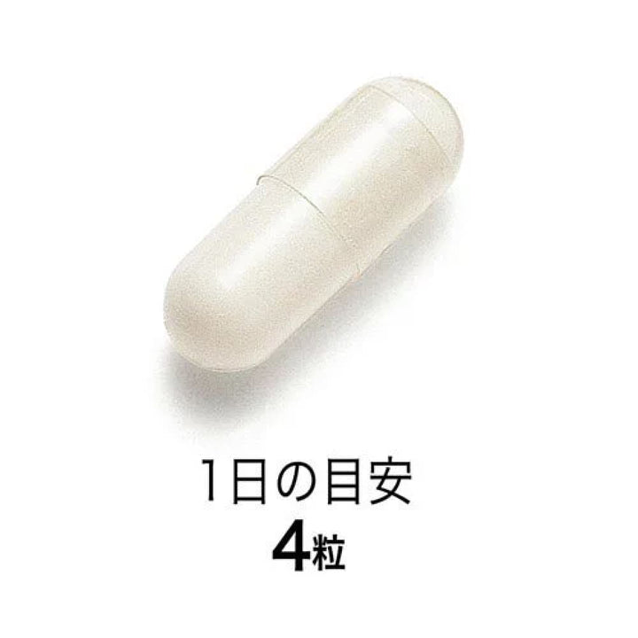 FANCL 30 Day Supplement (Body Fat / Fat Consumption) Black Ginger Formula, $90以上, fancl, Japanese Groceries, Nutrition Supplements