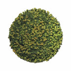 Itoen Matcha-Awase Genmaicha — Sencha + Roasted Brown Rice + Usucha Matcha (160g Loose Leaf)