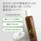 AMPLEUR Shampoo Premium Phyto Hair Wash N 260mL