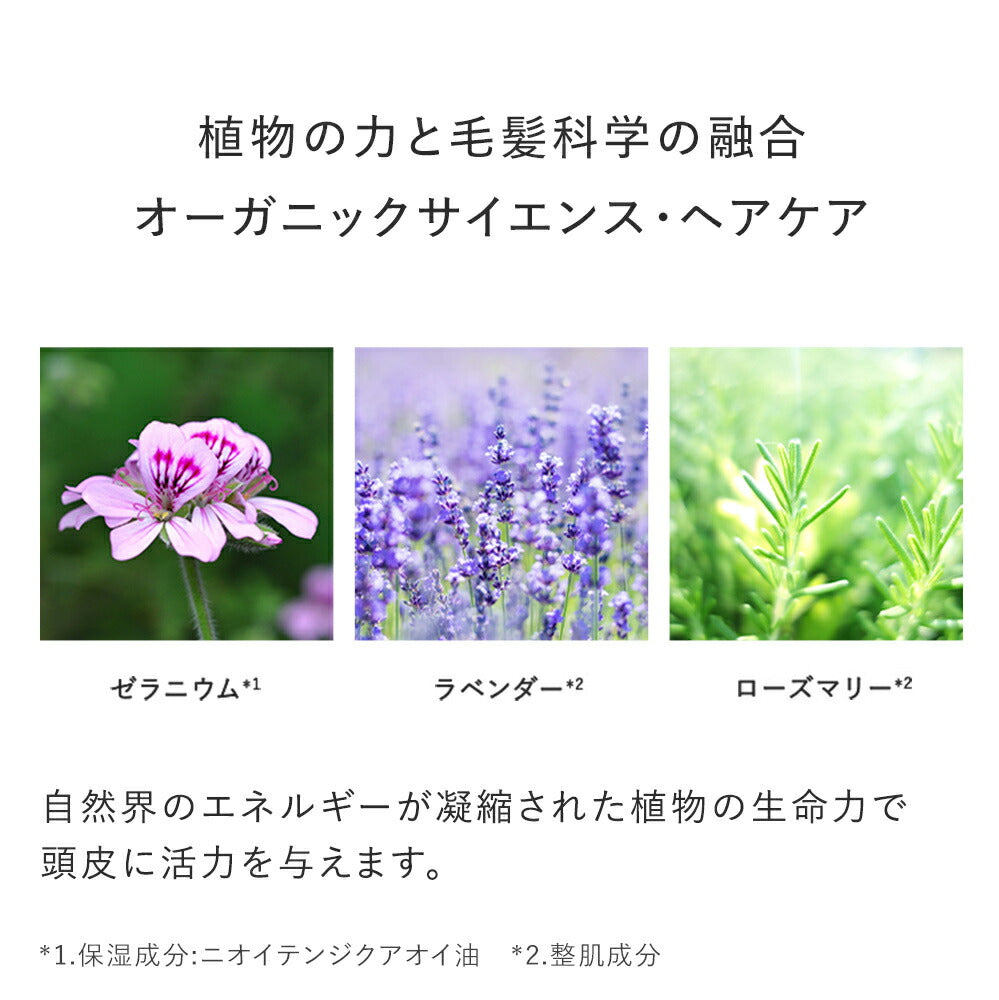 AMPLEUR Shampoo Premium Phyto Hair Wash N 260mL