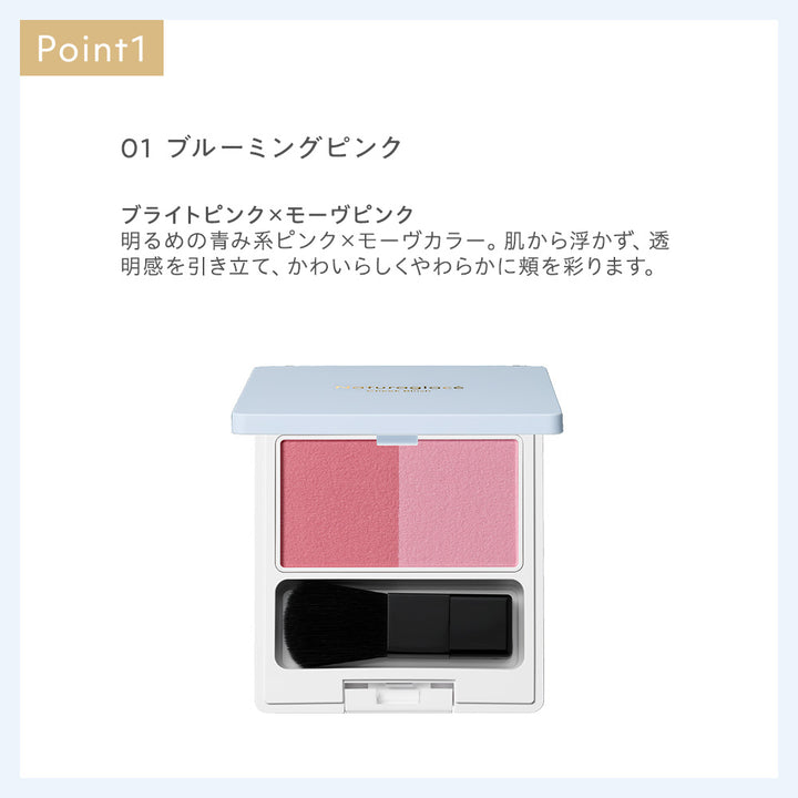 naturaglace Cheek Blush N