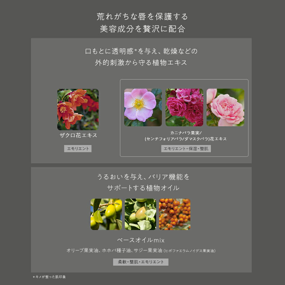 naturaglace Lip Essence Gloss