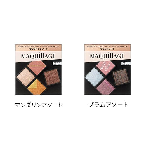 MAQuillage Customize Eye Color Assort