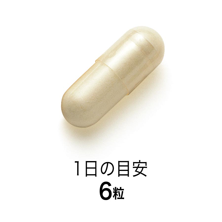 FANCL Royal Jelly Capsules capsule close-up