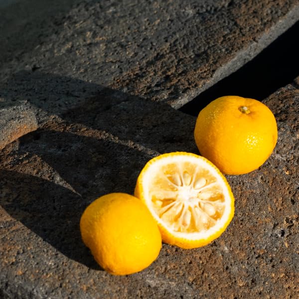 SHIRO Yuzu Face Mist 120mL