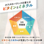FANCL MultiVitamin & Mineral Base POWER