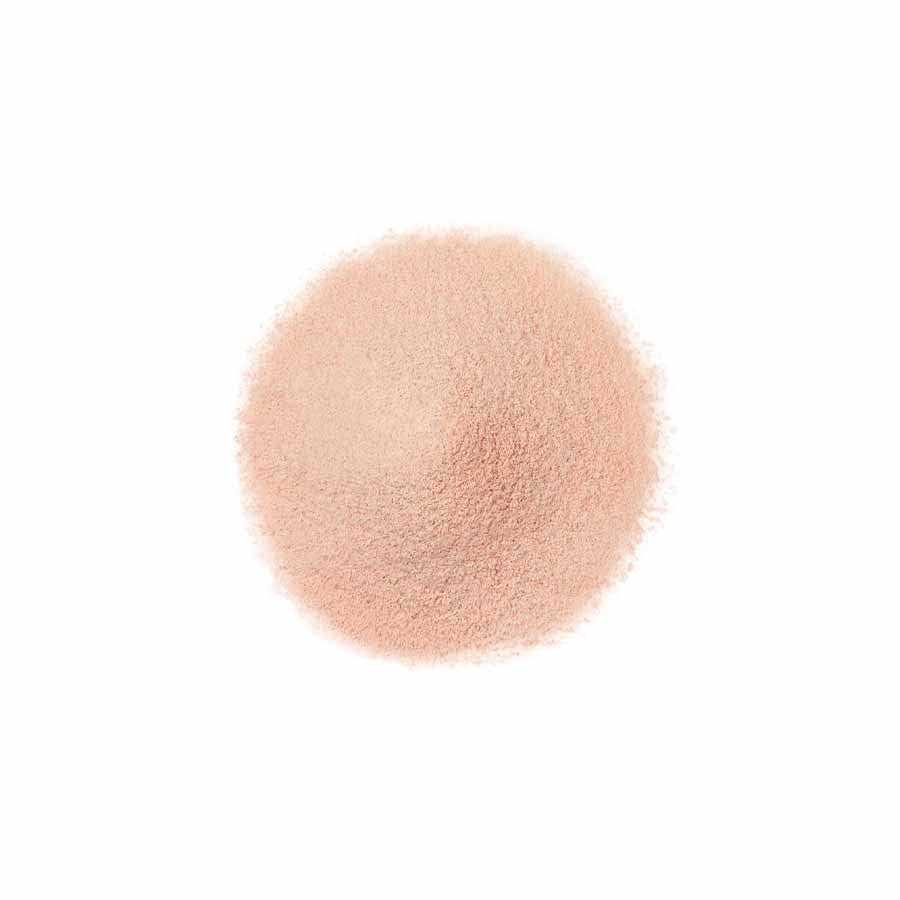 FANCL Finishing Powder 20g