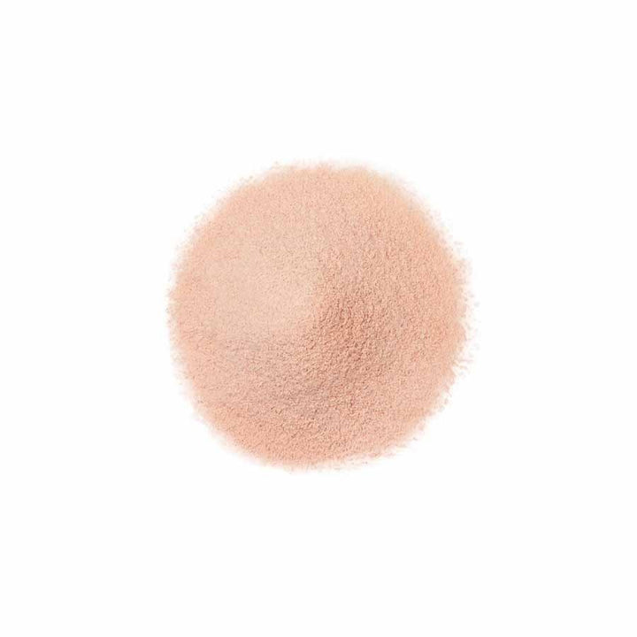 FANCL Finishing Powder 20g