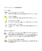 THREE Balancing System Skincare First Kit