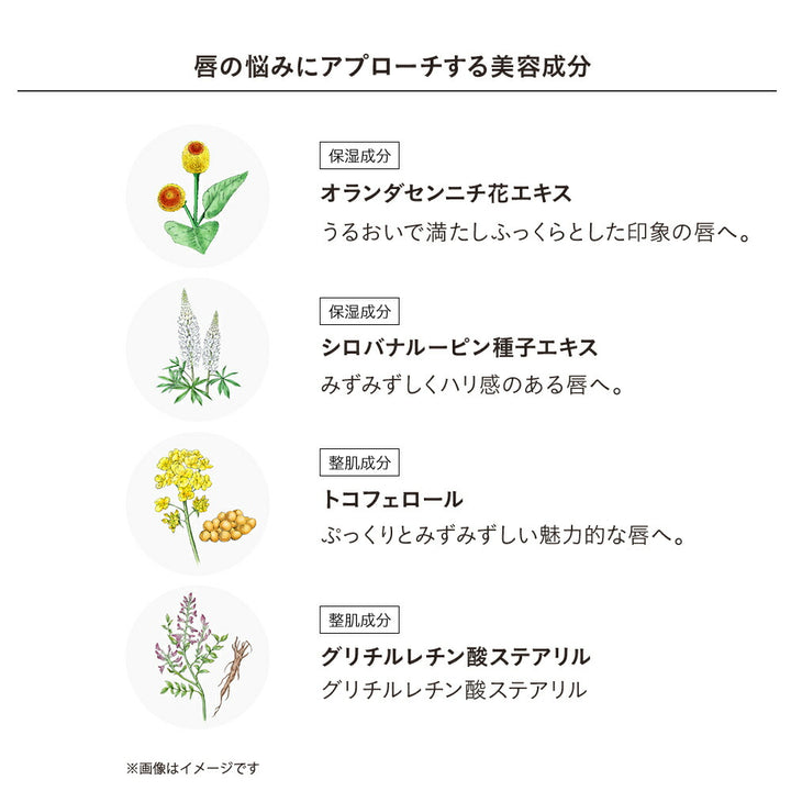 ETVOS Mineral Sheer Matte Rouge 4g