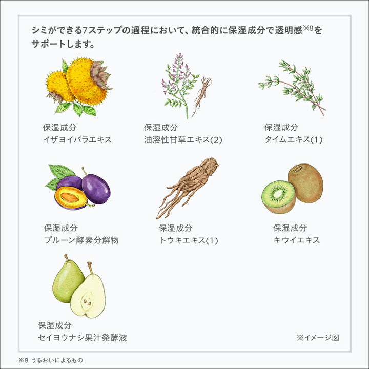 ETVOS Medicated Whitening Clear Lotion 120mL