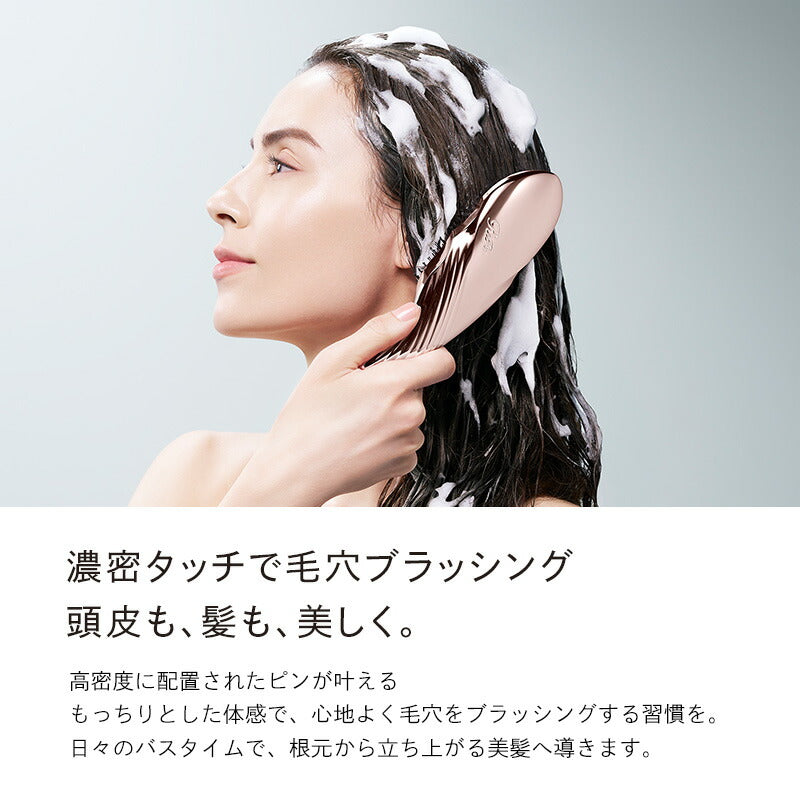 ReFa ION CARE BRUSH PREMIUM ｜ Gratis frakt over hele verden