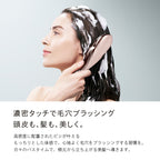 ReFa ION CARE BRUSH PREMIUM