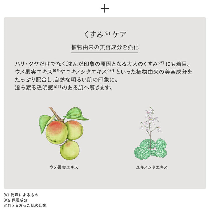 ETVOS Mineral Inner Treatment Base (Multi Colors) 25mL