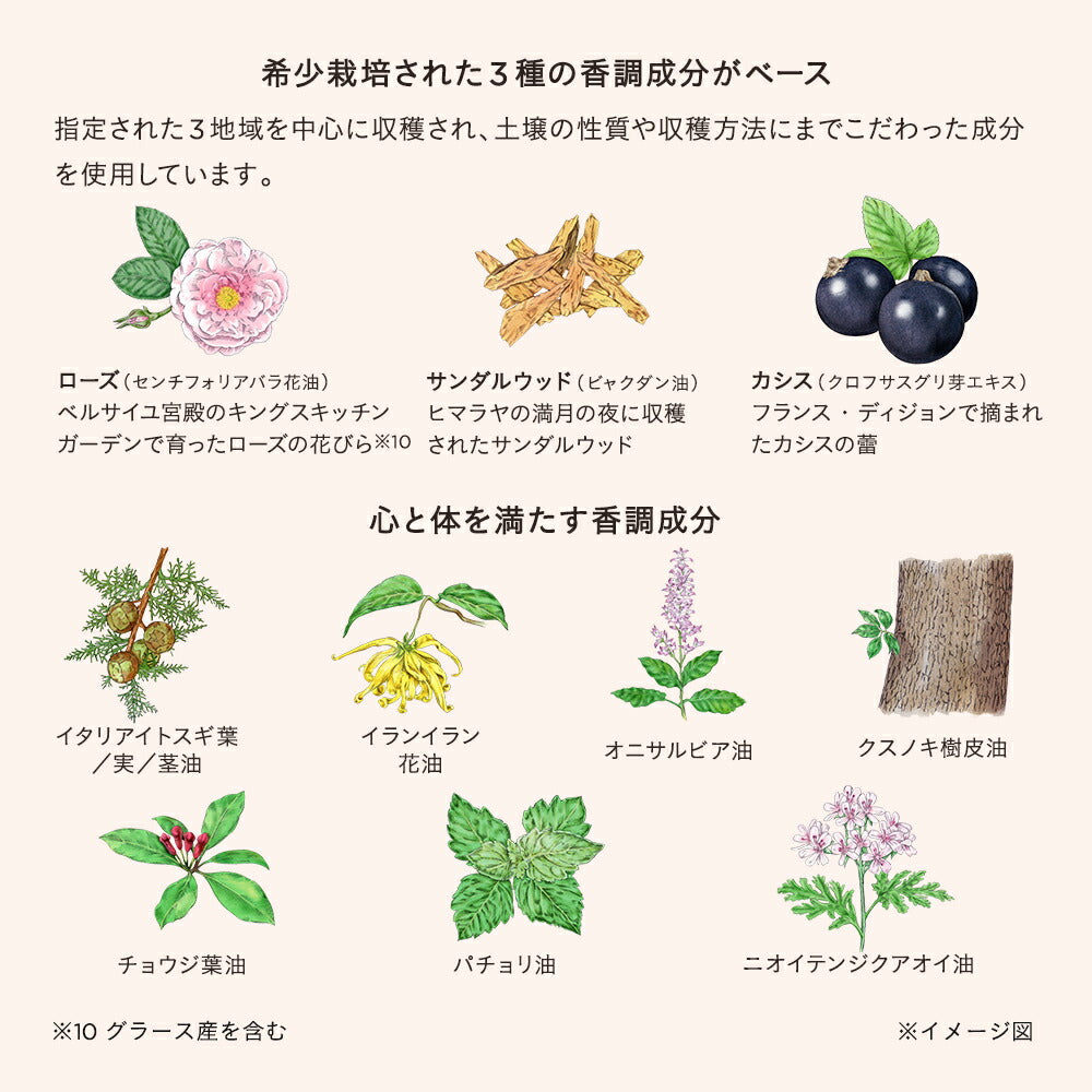 ETVOS Vital Superior Oil 30mL