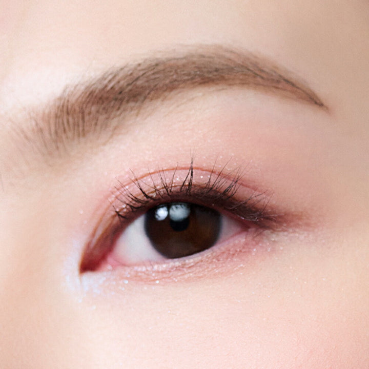 ETVOS 2025 Holiday Coffret