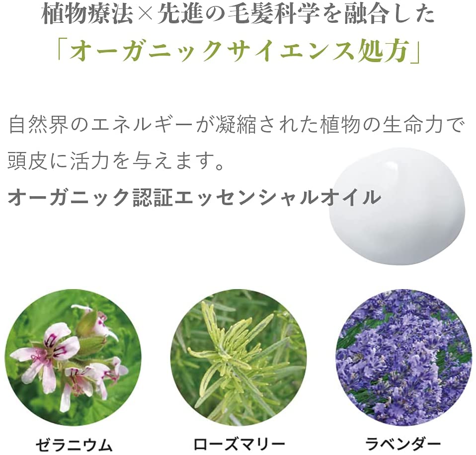 AMPLEUR Hair Conditioner Premium Phyto 250g
