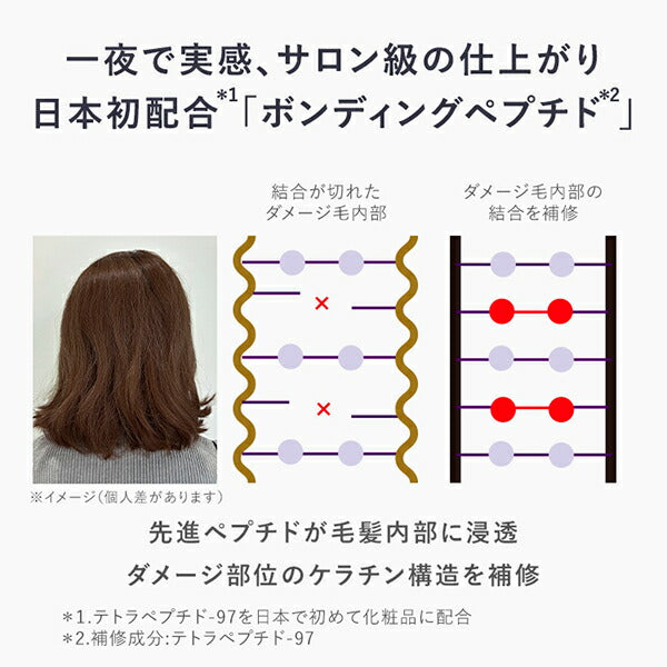 AMPLEUR Night Repair Scalp & Hair Essence 100mL