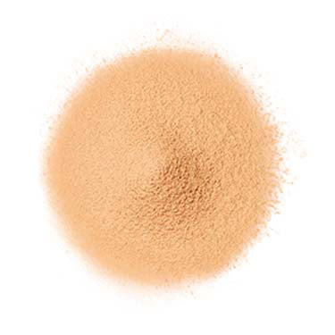 FANCL Airy Touch Foundation 20g SPF16 PA++ 22 Light
