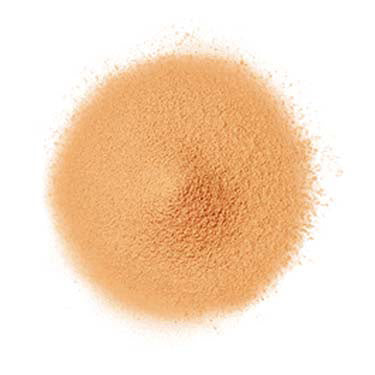 FANCL Airy Touch Foundation 20g SPF16 PA++ 24 Dark