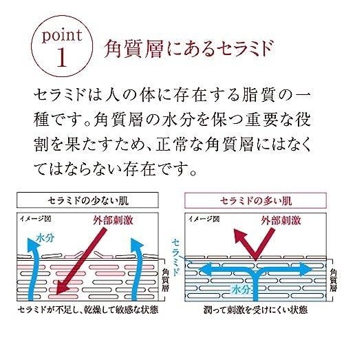官方 point1 角質層にあるセラミド 500×500