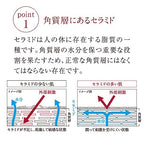 官方 point1 角質層にあるセラミド 500×500