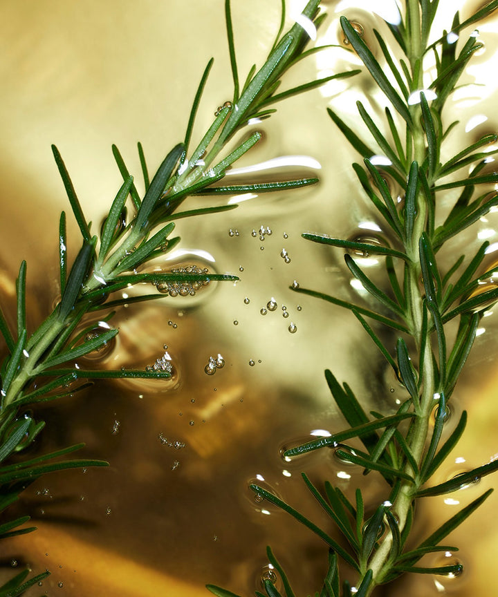 THREE Balancing Overnight Oil Serum SQ