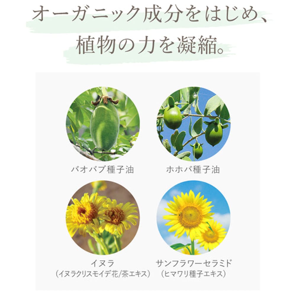 ラ・カスタLa Casta Hair Emulsion 180ml×3 La Casta Aroma Hair Emulsion ｜ 전 세계 무료 배송