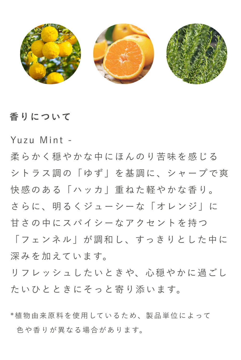 OSAJI YuzuMint Treatment Lip Gel 10g