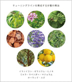 OSAJI TUNING Skincare Trial Set Aromatic Woody Scent