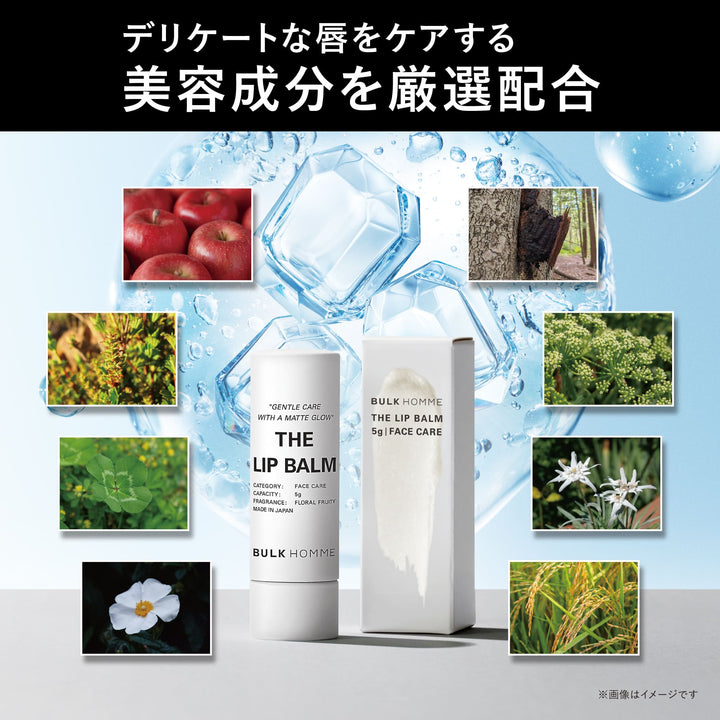 BULK HOMME The Lip Balm 5g