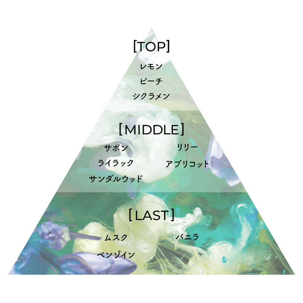 Aíam Chapter 9 Perfume 8mL/50mL/100mL