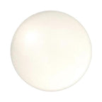 SHIRO Essence Lip Oil 5g