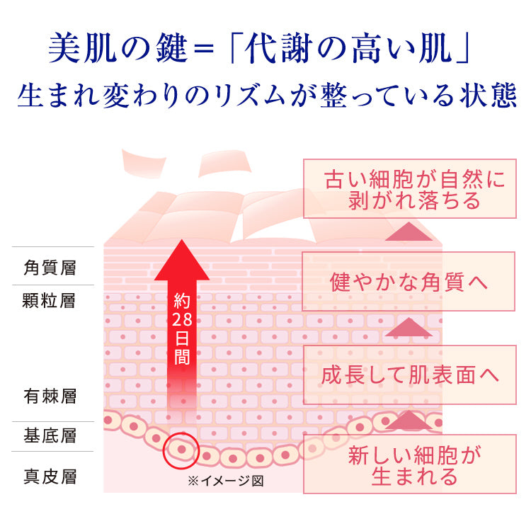 Takami Skin Peel 30mL