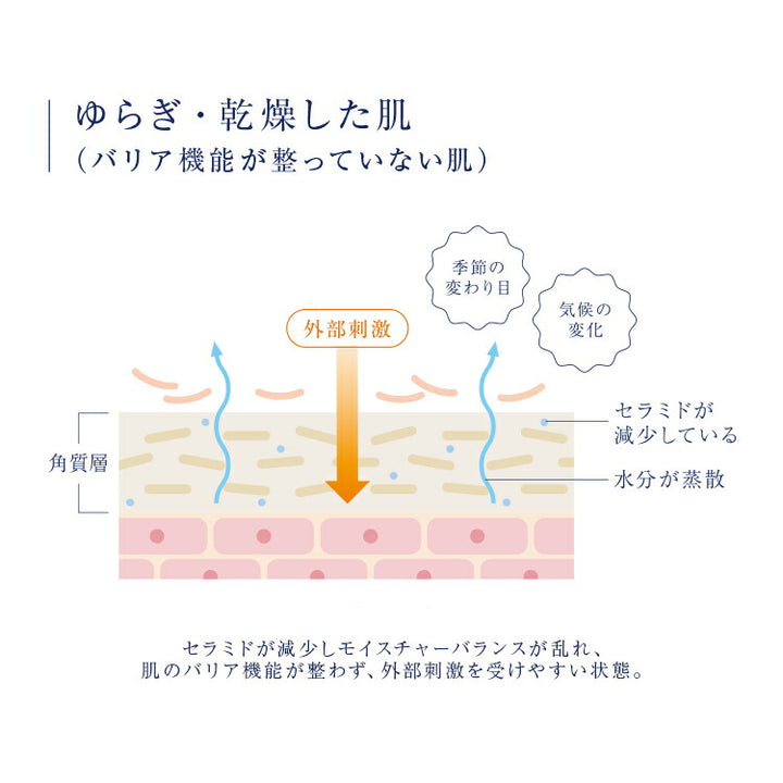 Takami Essence Ceramica + N 30mL