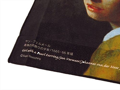 TORAYSEE Great Art Series Microfibre Cleaning Cloth