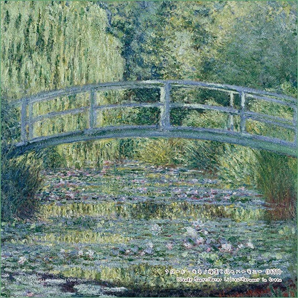 TORAYSEE Great Art Series Microfibre Cleaning Cloth