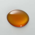TUNEMAKERS Green Tea Extract 1mL, $90以上, Anti Oxidation, Eye Care & Anti Aging, tunemakers