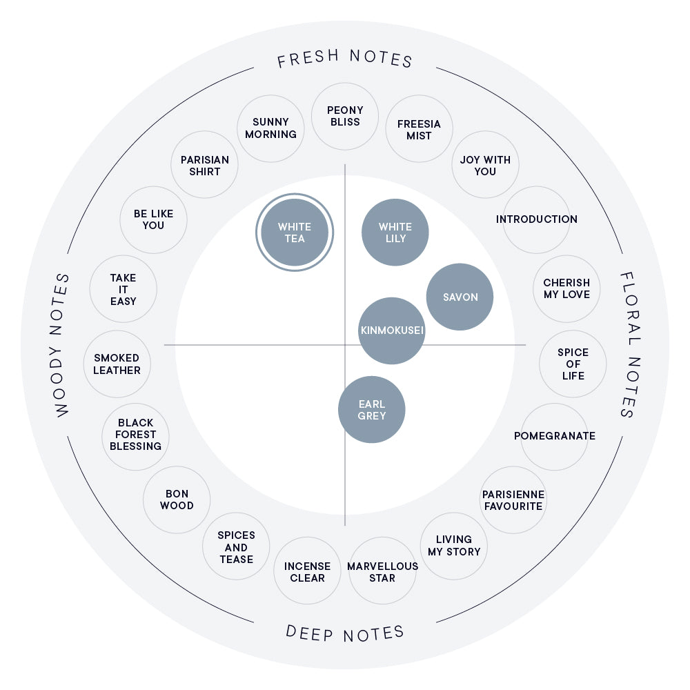 SHIRO Aroma Oil 20mL